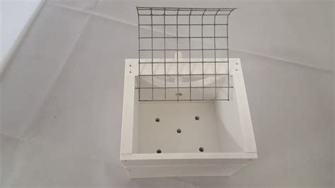 Exotic Finch Nest Box With Mesh Lid Pvc Plastic Planet Aviary