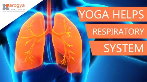 Yoga Helps In The Respiratory System Causes For Respiratory Problems