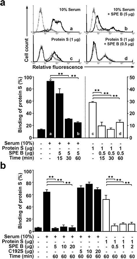 Spe B Reduces The Binding Ability Of Protein S On Apoptotic Cells A Download Scientific