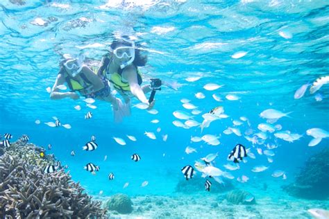 シュノーケリング沖縄宮古島3歳から参加OKサンゴとお魚を楽しむシュノーケルツアー温水シャワードライヤー完備 クチコミやお得