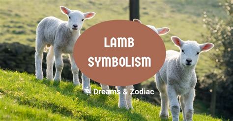 Lamb Symbolism: What Does A Lamb Symbolize - Dreams & Zodiac