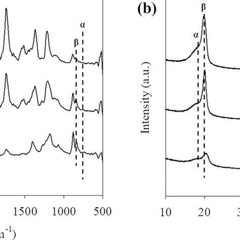 A Ftir Spectra And B Xrd Patterns Of The Electrospun Pvdf And Download Scientific Diagram