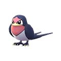 Taillow (Pokémon GO) - Best Movesets, Counters, Evolutions and CP