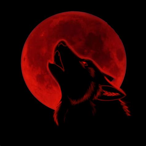 Red Wolf Wallpapers - Wallpaper Cave