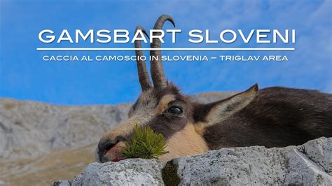 Gamsbart Sloveni Ep Caccia Del Camoscio In Novembre Youtube