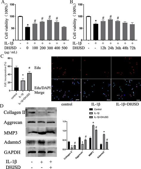 Dhjsd Enhances The Viability Of Il Exposed Np Cells Npcs A Npcs