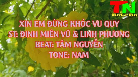 Karaoke Xin Em Ng Kh C Vu Quy Nh C S Ng Tone Nam Ii Beat T M Nguy N