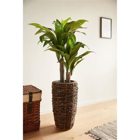 Plante Artificielle Palmier Yucca Trompeuse Top Plastique Noir OBJET