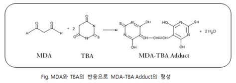 Ez Lipid Peroxidationtbars Assay Kit Itsbio