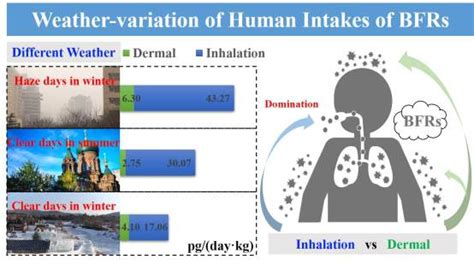 Factors Affecting The Levels And Pathways Of Atmospheric Brominated