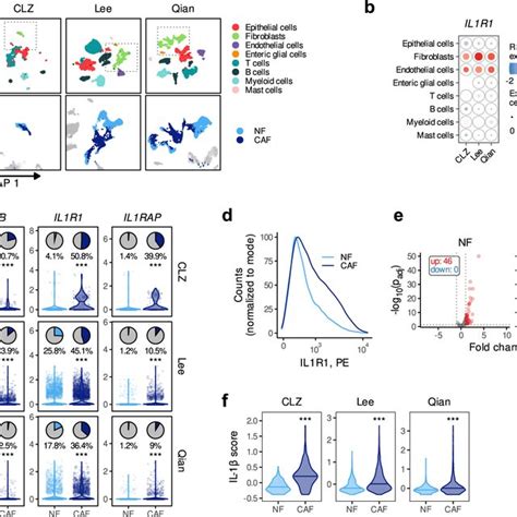 Il R And Il B Expression In Crc Patients A Umap Plot Showing The Main