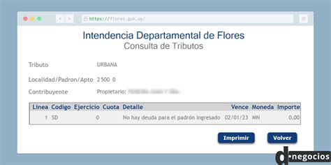 C Mo Pagar La Contribuci N Inmobiliaria De Flores