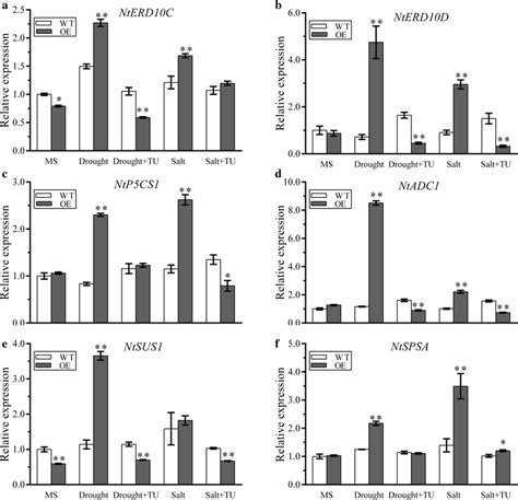 Expression Analyses Of Stress Related Genes In The Control And