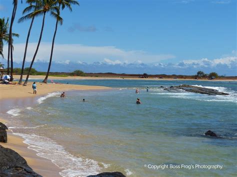 Salt Pond Beach Park Boss Frogs Hawaii