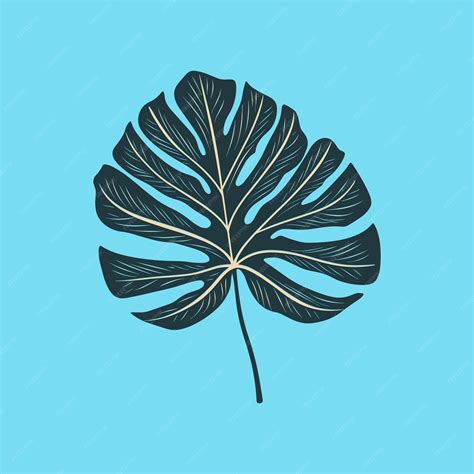 Premium Vector Green Monstera Leaf Flat Design