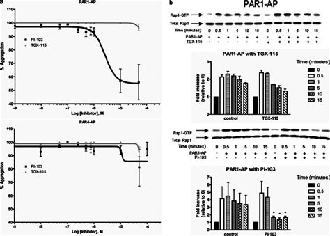 Par Mediated Aggregation And Rap Activation Show Sensitivity To