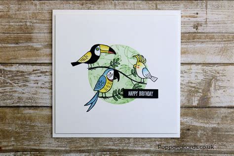 Stampin Up Bird Banter Stamp Set Used To Create This Fun Birthday Card