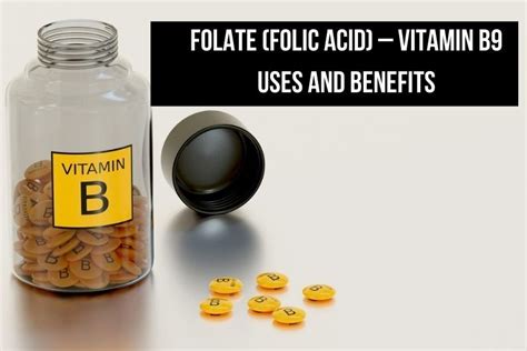 Folate Folic Acid Vitamin B9 Uses And Benefits