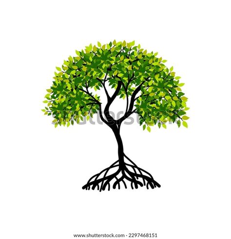 Tree Vector Illustrations Roots Mangrove Tree Stock Vector Royalty