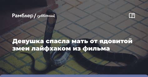 Девушка спасла мать от укуса ядовитой кобры благодаря лайфхаку из