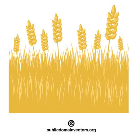 Wheat Field Clip Artai Royalty Free Stock Svg Vector And Clip Art