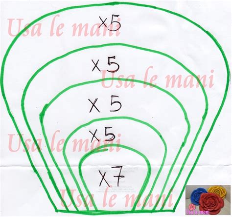 Cartamodello Rosa Gigante Fommy Modello Di Fiore Di Carta Tutorial