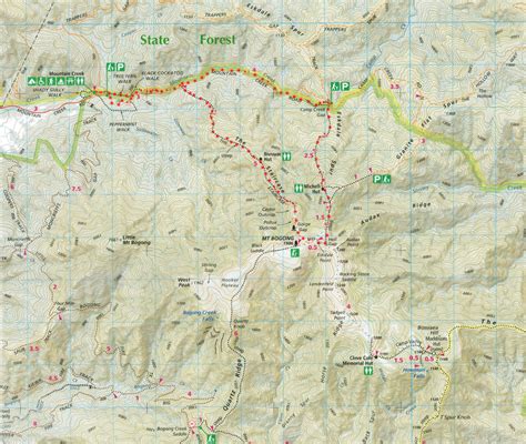 Mount Bogong Conquestathon: Mount Bogong Circuit via Staircase Spur and Eskdale Spur | The ...