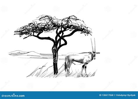 Gemsbok Antelope Oryx Gazella Near A Tree In Africa Hand Drawn