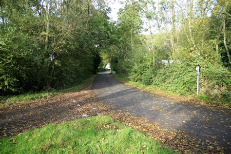 Colchester Road Plenty Of Leaves Down Roger Geach Cc By Sa