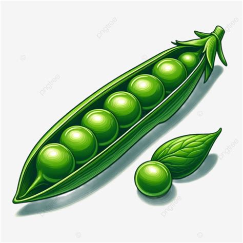 Fresh Green Pea Pod Vegetable Peas Green Peas Green Peas Clipart PNG