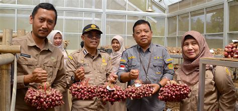 Berita Bsip Tanaman Sayuran Bpsip Dki Jakarta Studi Banding Standar