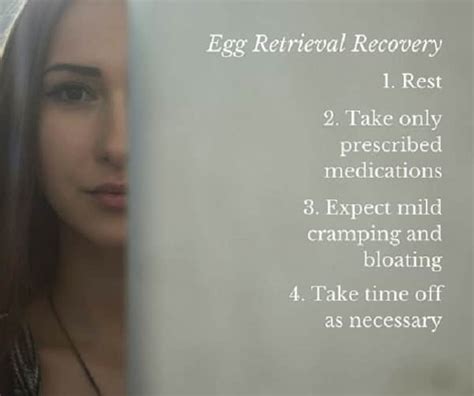 Understand Egg Retrieval Process Preparation And Recovery Ivf Authority