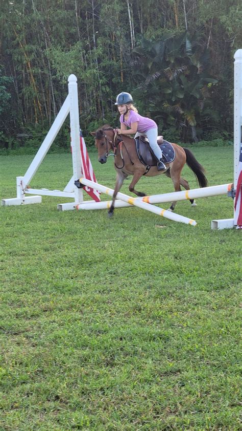 Horseback Riding Lessons – FAMILY HORSE ACADEMY