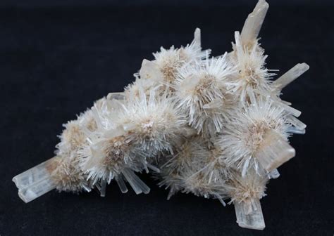 Gypsum Var Selenite Crystals Mineral Specimen Gyps12a Etsy