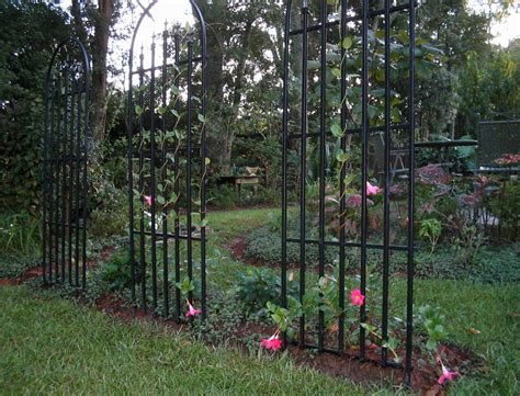 Arbors And Trellises At Garden Max Stores