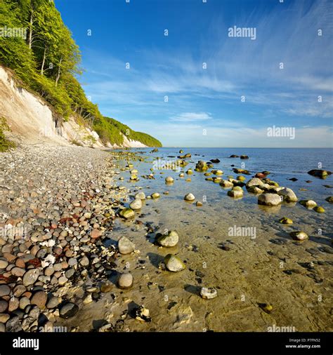 Stone Beach Boulders And Chalk Cliffs Shallow Water Jasmund National