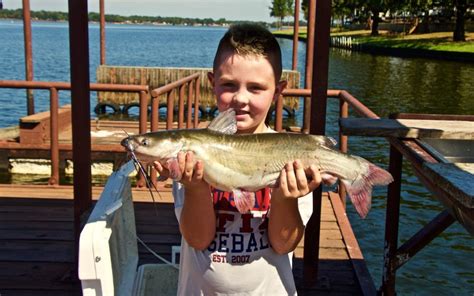 Catching Catfish Sporting Classics Daily