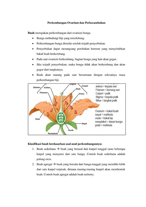 Perkembangan Ovarium Dan Perkecambahan Bunga Melindungi Biji Yang