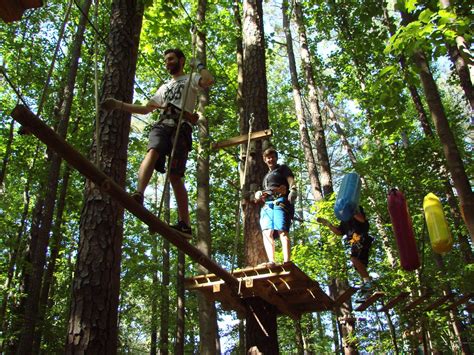 Tree Top Adventure Park & Zipline Course | Icy Strait Point – Icy Strait Point