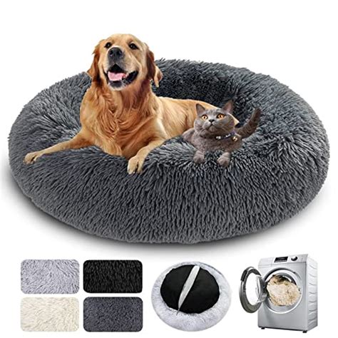 Top 5 Des Coussins Apaisants Pour Chien Meilleur Coussin Apaisant