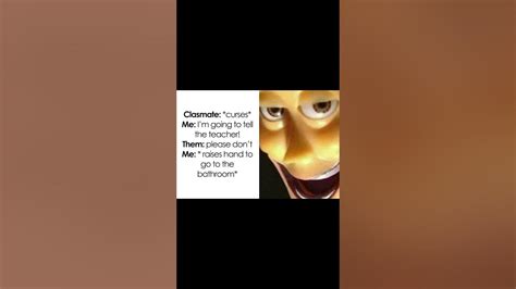 Daily Memes 5 Youtube