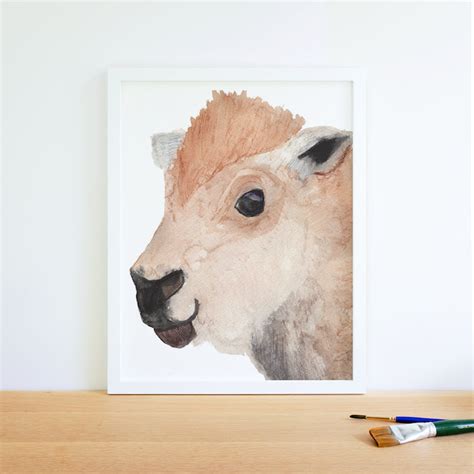 Baby Buffalo Watercolor Art Print for Kids Room or Nursery - Etsy