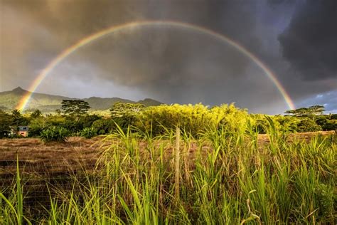 K K K Mauritius Tropics Sky Shrubs Grass Rainbow Hd