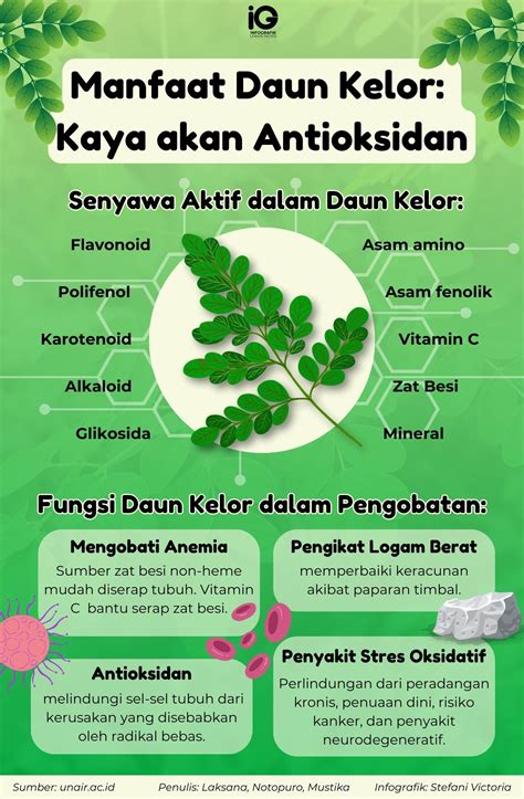 Infografik Manfaat Daun Kelor Kaya Akan Antioksidan Universitas