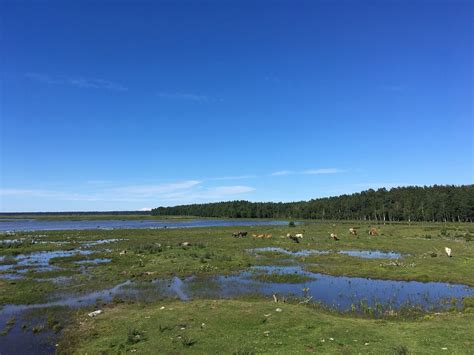 Энгуре (Латвия) 2023: все самое лучшее для туристов - Tripadvisor