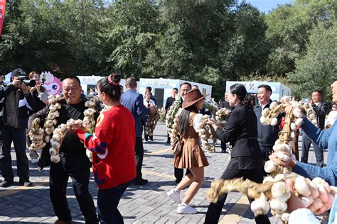 第六个中国农民丰收节暨吉木萨尔县首届大蒜文化科普节在新地乡开幕