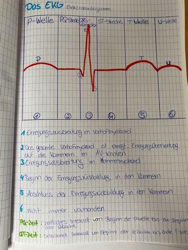 Diagnostische Verfahren Herz Flashcards Quizlet