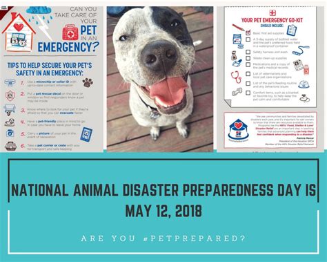 National Animal Disaster Preparedness Day Is May 12 2018 Petprepared