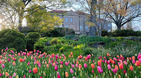 Cheekwood Estate And Gardens In Nashville Tennessee City Towner