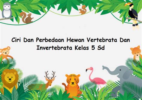 Hewan Vertebrata Dan Invertebrata Video Pendidikan Untuk Anak Anak